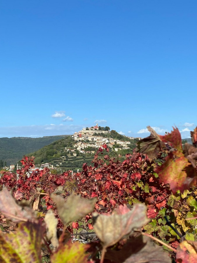 5 schönsten Orte in Istrien!, Ferienhäuser zur Vermietung in Pula Pula